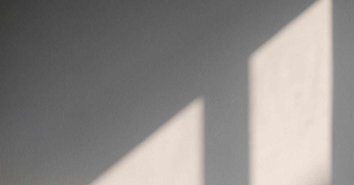 Empty white paper on notice board placed on wooden table near cup at wall in light room with bright sunlight