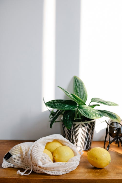Heap of ripe yellow lemons in eco friendly sack placed near wall on wooden table with green plant in light room