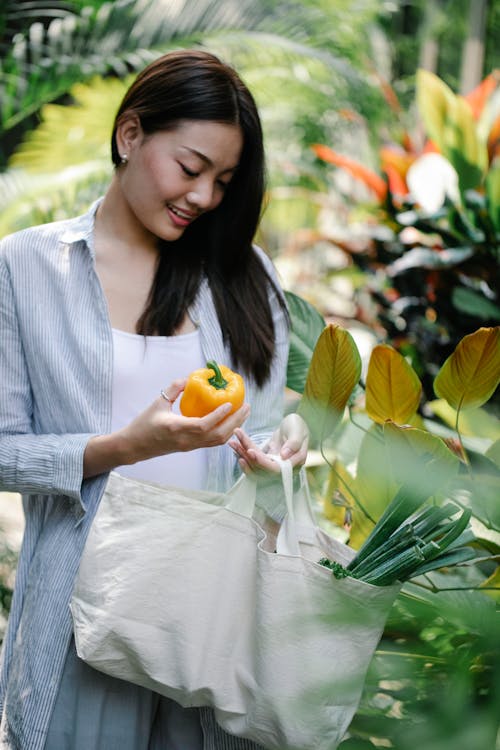 Cheerful young Asian female in casual clothes collecting fresh yellow bell peppers in lush sunny garden during harvesting season