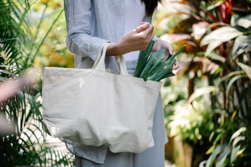 Free Crop unrecognizable woman carrying bag with vegetables in garden Stock Photo