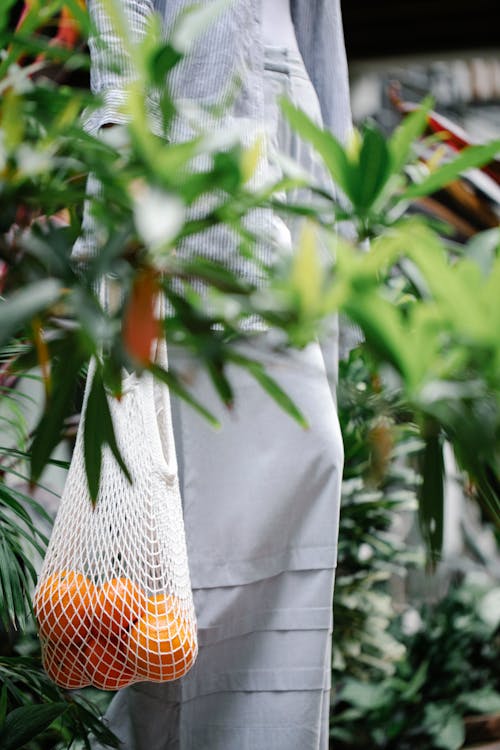 Free Crop unrecognizable female in casual clothes carrying net grocery bag with sweet oranges while standing in verdant garden Stock Photo