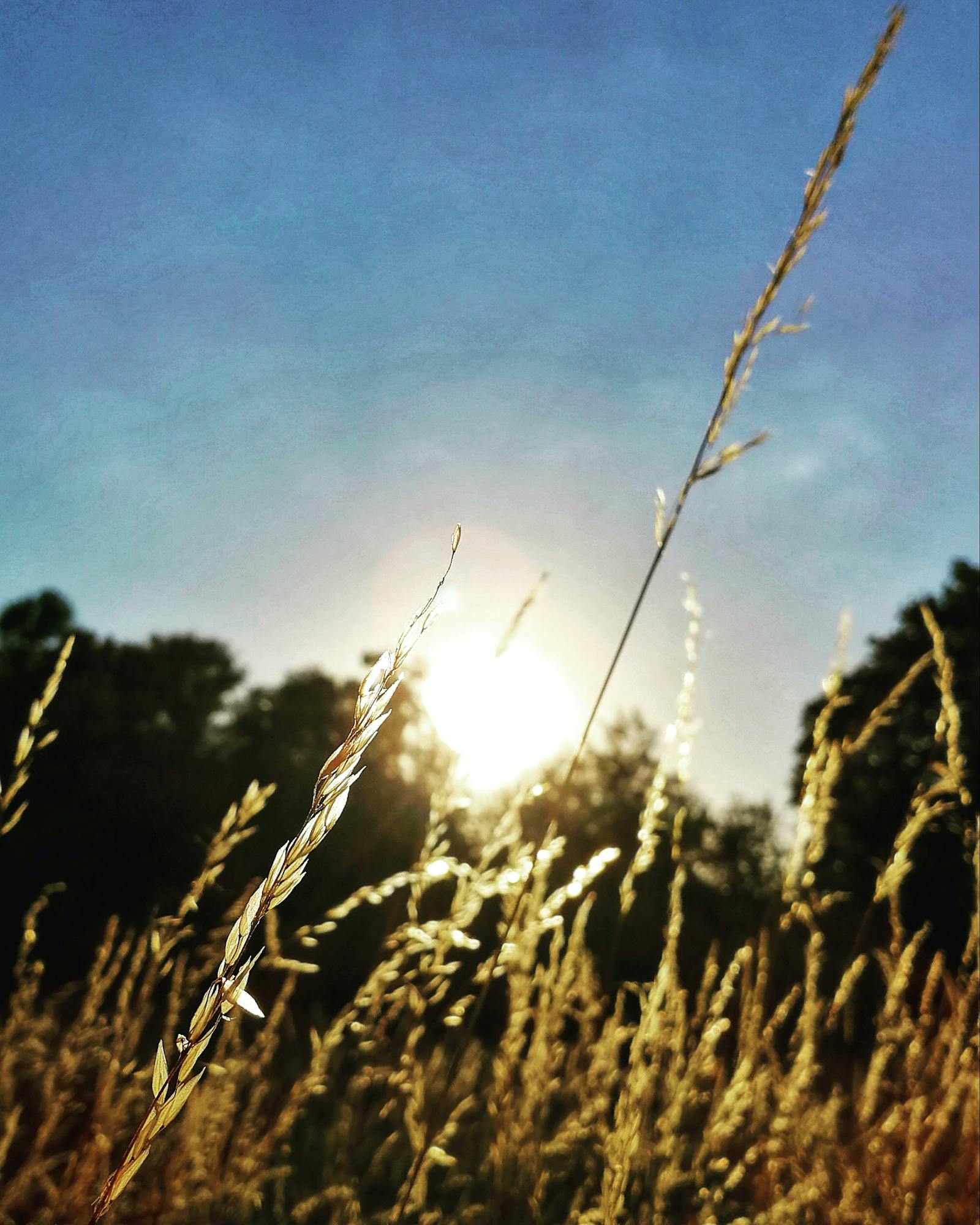 استخدام واقي شمس معدني لحماية البشرة المتهيجة