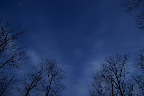Kostnadsfria Kostnadsfri bild av himmel, kändisar, natt Stock foto