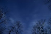 夜空宁静，星星与光秃秃的冬季树木的轮廓相映成趣