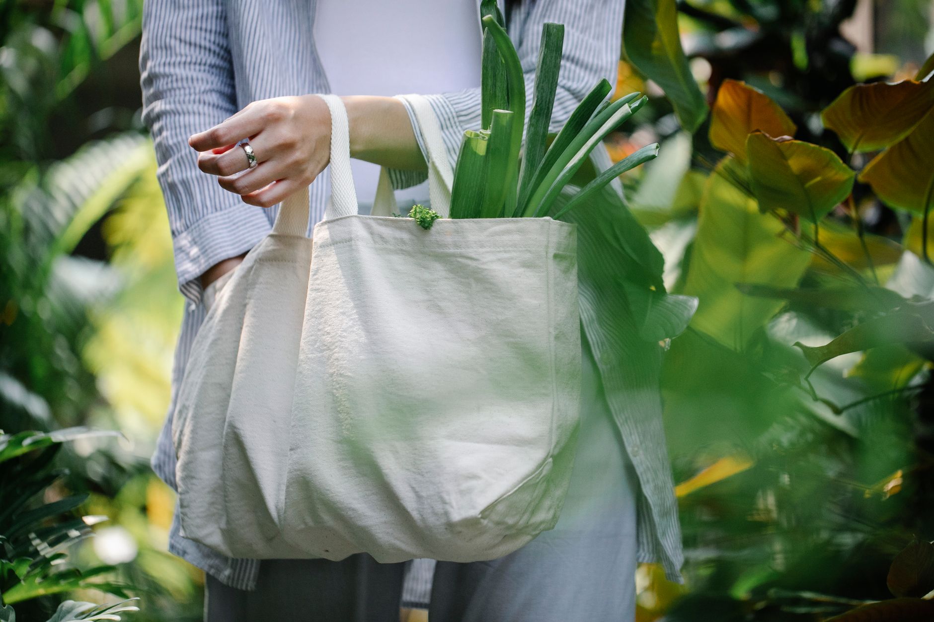 Eco Chic: Sustainable Fashion Quiz