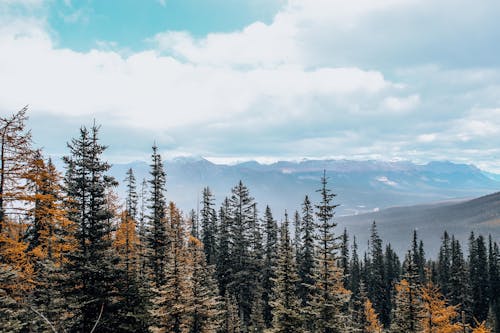 Gratis arkivbilde med fjell, landskap, landskapsfotografering