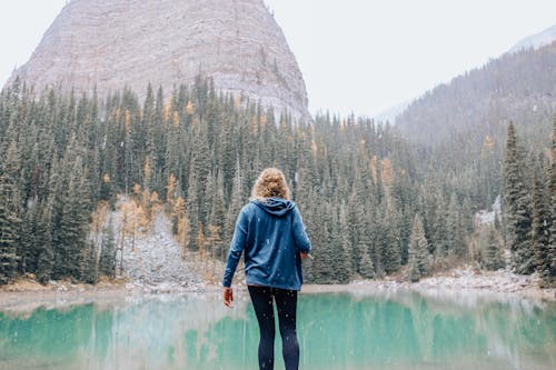 Foto d'estoc gratuïta de arbres, aventura, d'esquena