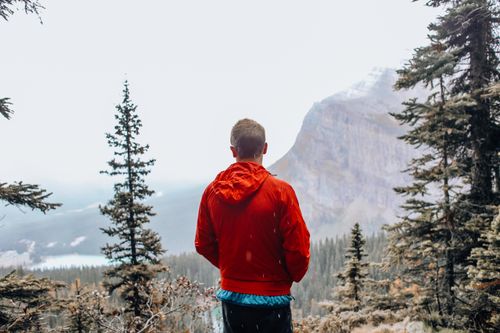 Free A man in a red jacket stands amidst pine trees, overlooking a misty mountain landscape. Stock Photo