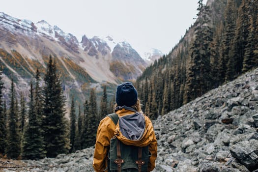 A person hiking in a rocky landscape with snow-capped mountains and pine trees in the background.