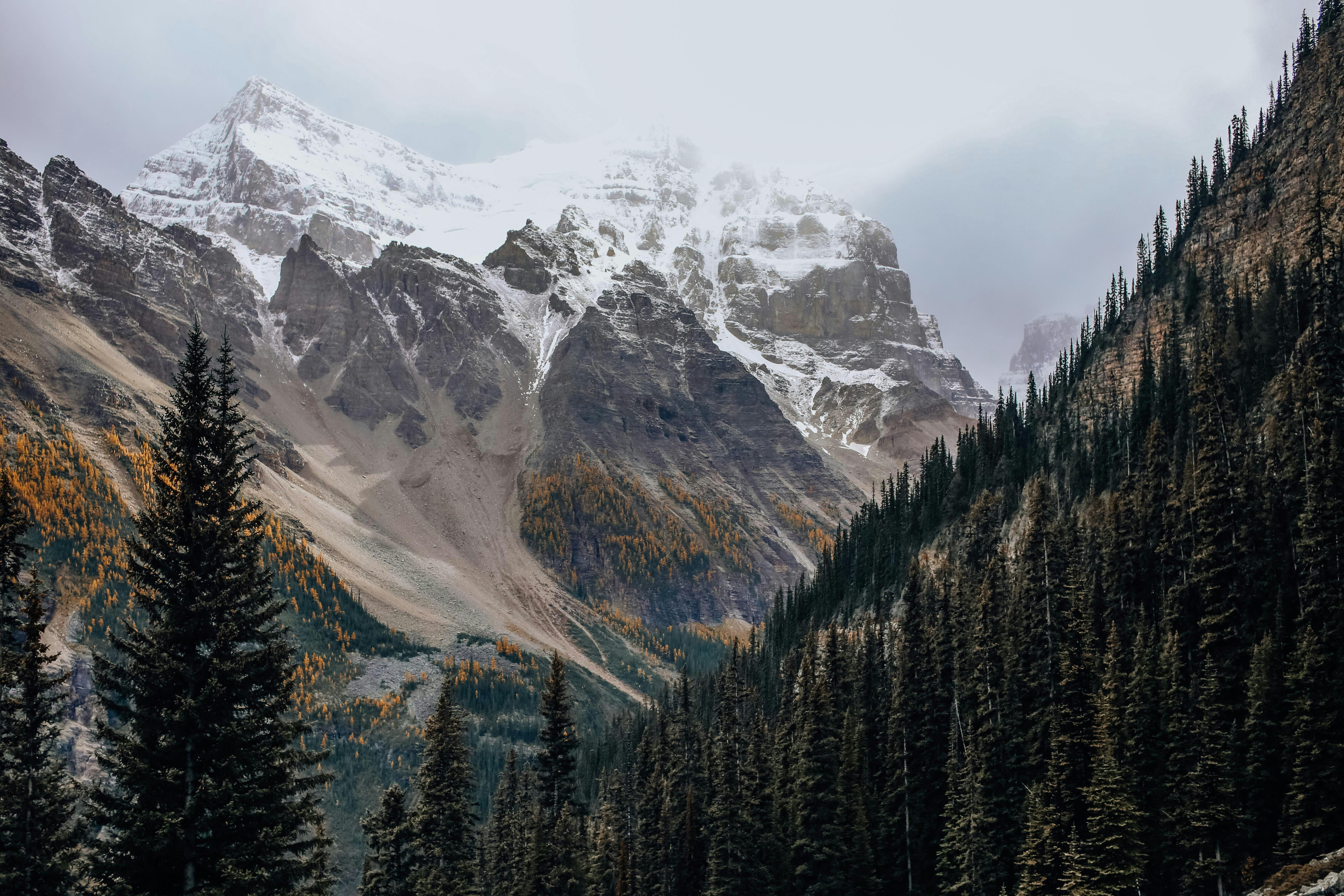 Prescription Goggle Inserts - Captivating view of snow-capped mountains and dense forest, showcasing autumn foliage.