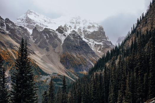 Captivating view of snow-capped mountains and dense forest, showcasing autumn foliage.