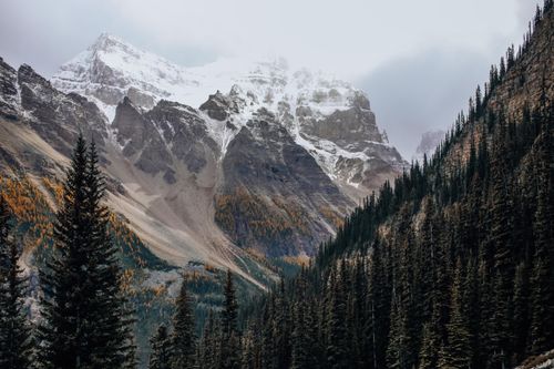 Free Captivating view of snow-capped mountains and dense forest, showcasing autumn foliage. Stock Photo