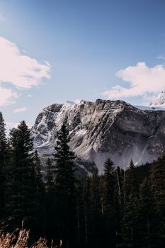 Captivating view of snow-capped mountains and evergreens under a blue sky.