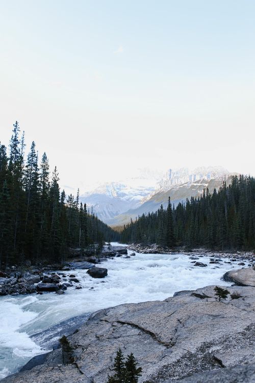 Free A serene river flows through a dense forest beneath a clear sky in a rocky landscape. Stock Photo