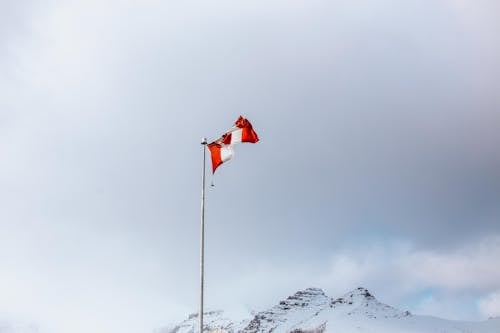 低角度拍攝, 加拿大, 大雪覆盖 的 免费素材图片