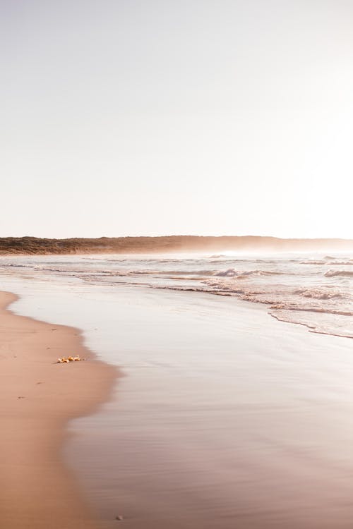 Waves Crashing on the Shore