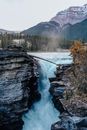 River Between Trees and Mountain