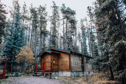 Photos gratuites de arbres, bungalow, cabane