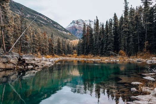 Serene mountain lake surrounded by pine forests and rocky mountains reflecting on the water.