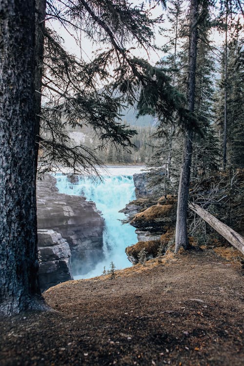 Cascading Waterfall in a River