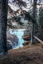 Free stock photo of landscape, wood