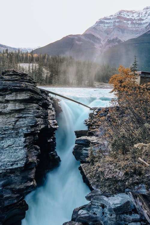 Photos gratuites de Alberta, cascade, chutes d'athabasca