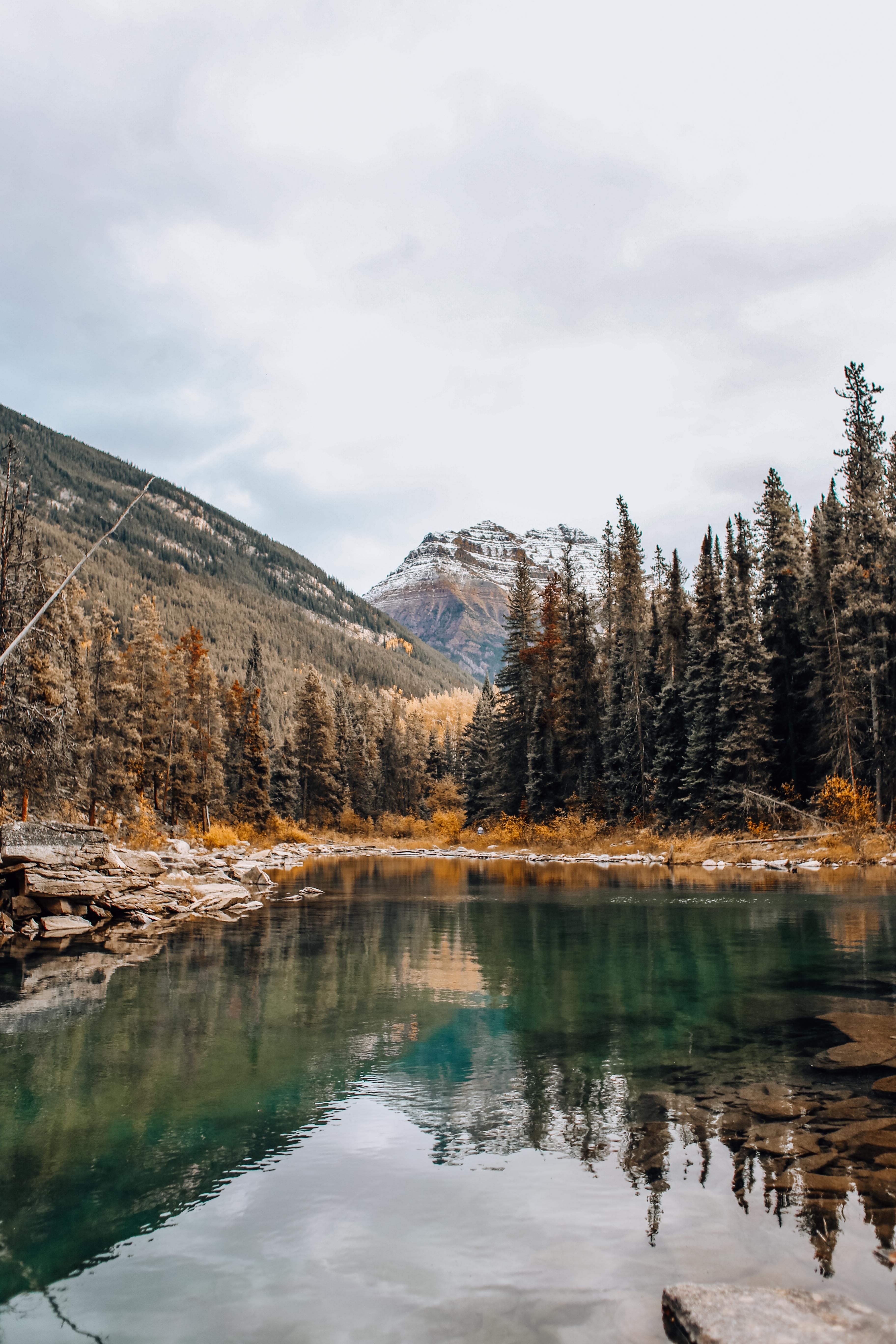 Green Pine Trees Near Lake and Mountain Under White Clouds · Free Stock ...