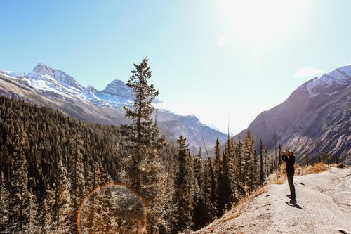 Free A man photographs snow-capped mountains and pine trees under a clear blue sky. Stock Photo