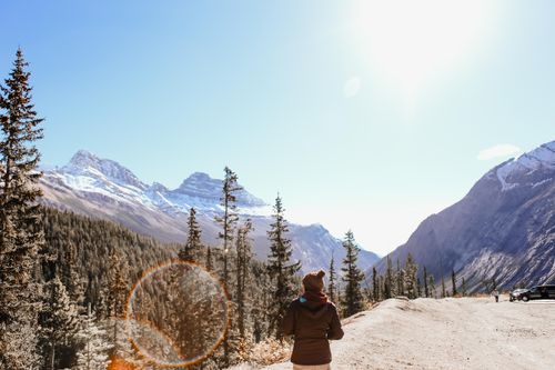 Free A person stands in awe of snow capped mountains and pine forests under a bright blue sky. Stock Photo