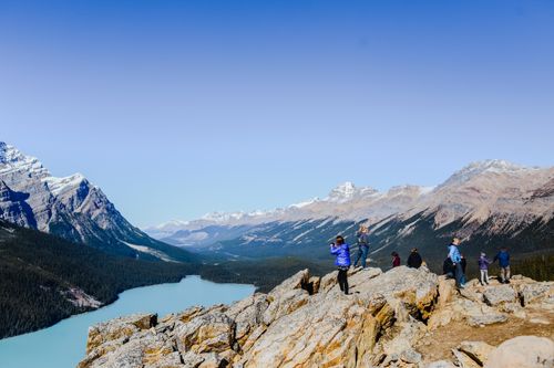 Free Tourists enjoy a stunning view of mountains and Peyto Lake in the Canadian Rockies. Stock Photo