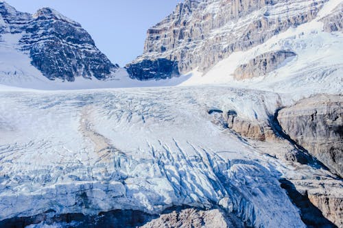 Immagine gratuita di freddo, gelido, inverno