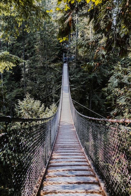 Wooden Hanging Bridge in the Forest