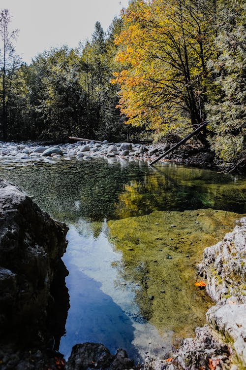 Základová fotografie zdarma na téma fotografie přírody, idylický, kameny