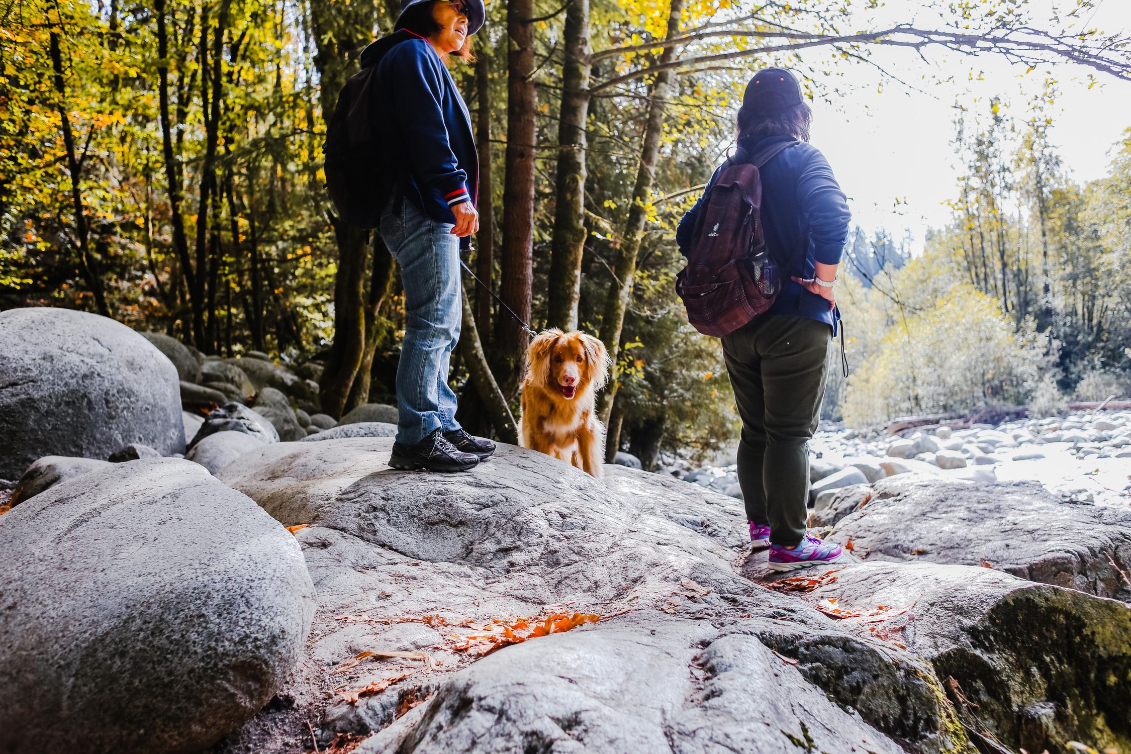 Photo by Rachel Claire Two hikers with a dog on a wooded forest trail