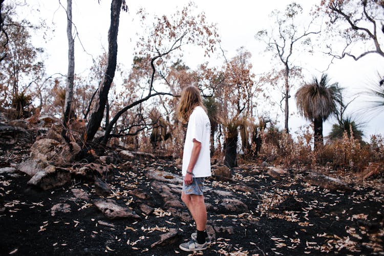 Man Standing In Arid Fall Forest