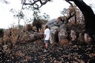 2 Women Standing Near Brown Bare Trees