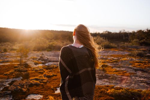 Back View of a Woman Looking at the Sunset · Free Stock Photo