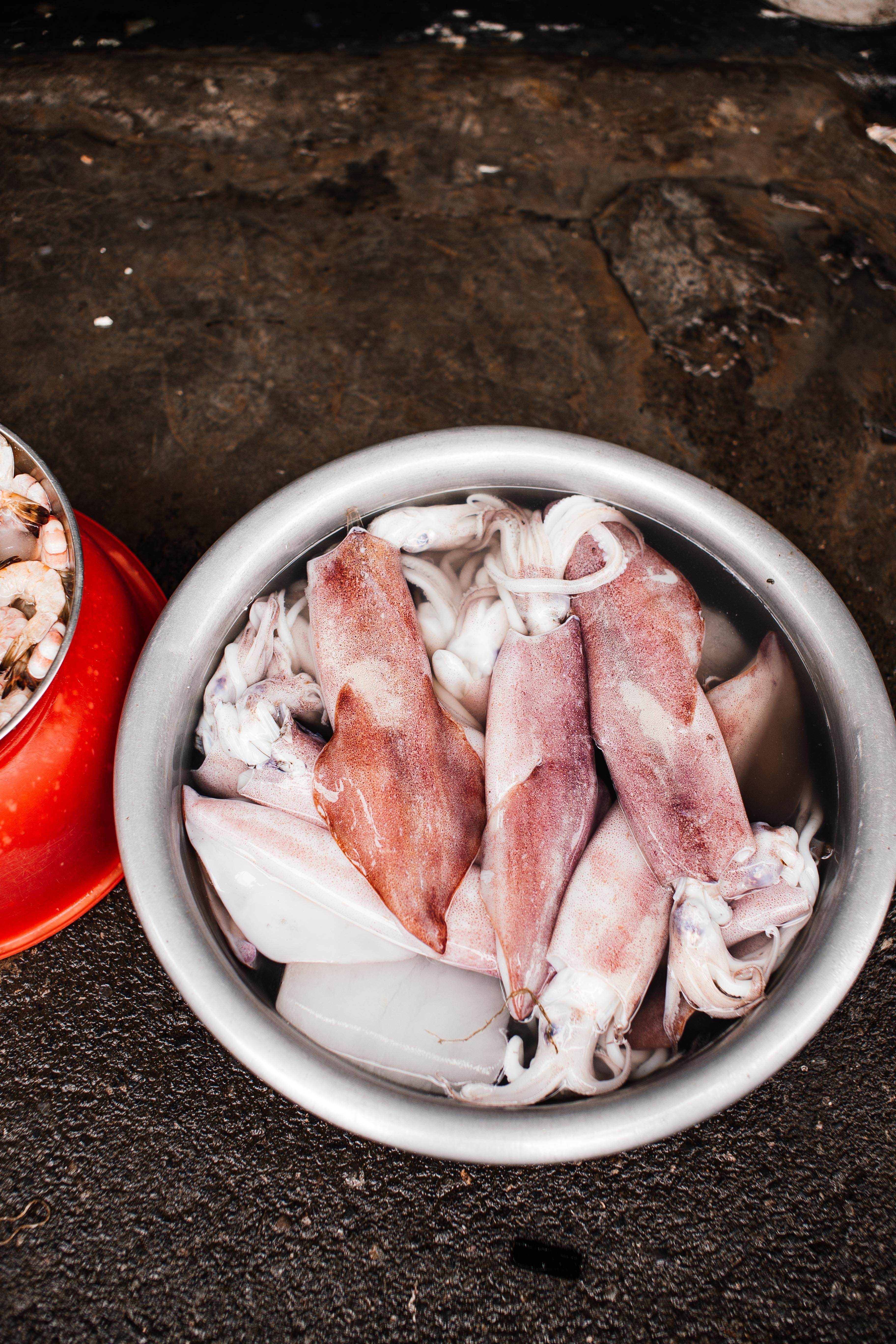 Squid (Calamari)