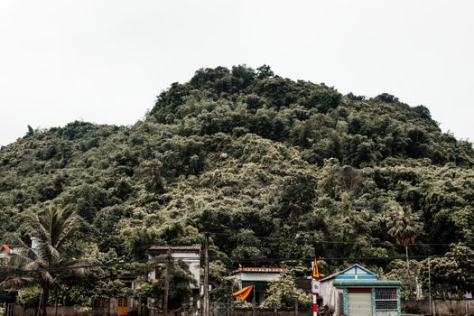 Houses near the Mountain Full of Trees 