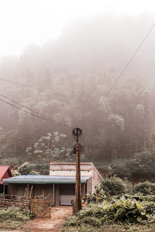 Základová fotografie zdarma na téma bungalov, dům, mlha