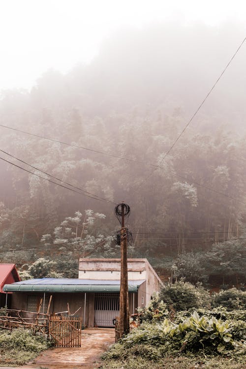 A Bungalow House Near the Forest