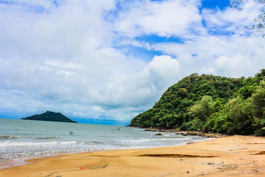 Green Leaf Trees Beside Body of Water