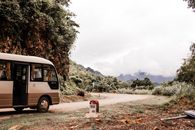 A Shuttle Bus on the Mountainside Road
