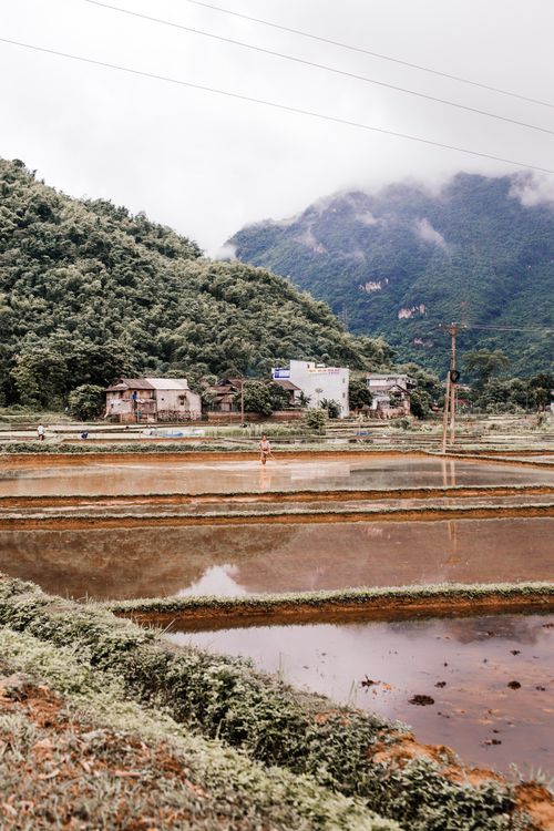 Free Beautiful rural landscape with rice paddies and houses against mountain backdrop. Stock Photo
