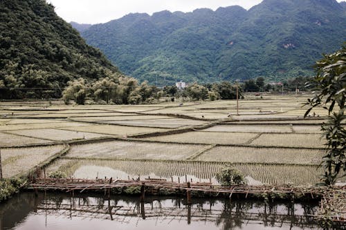 Foto stok gratis lahan pertanian, lembah, pedesaan