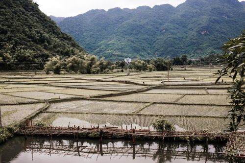 Free Picturesque rice terraces with lush green mountains, perfect for rural landscape themes. Stock Photo