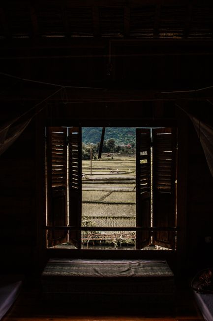 A wooden window opens to a serene view of rural agricultural fields, capturing a tranquil countryside scene.
