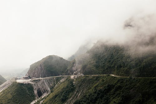 Immagine gratuita di alberi, colline, giorno nebbioso