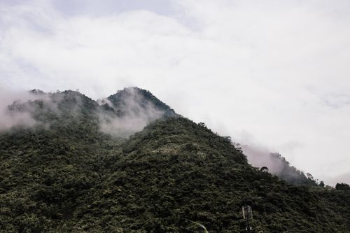 Free A scenic view of lush green mountains shrouded in fog and clouds, capturing nature's serene beauty. Stock Photo