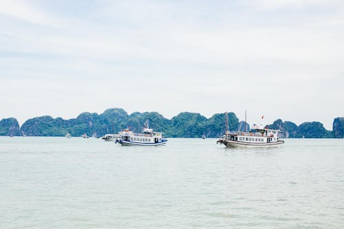 White Boats on the Lake